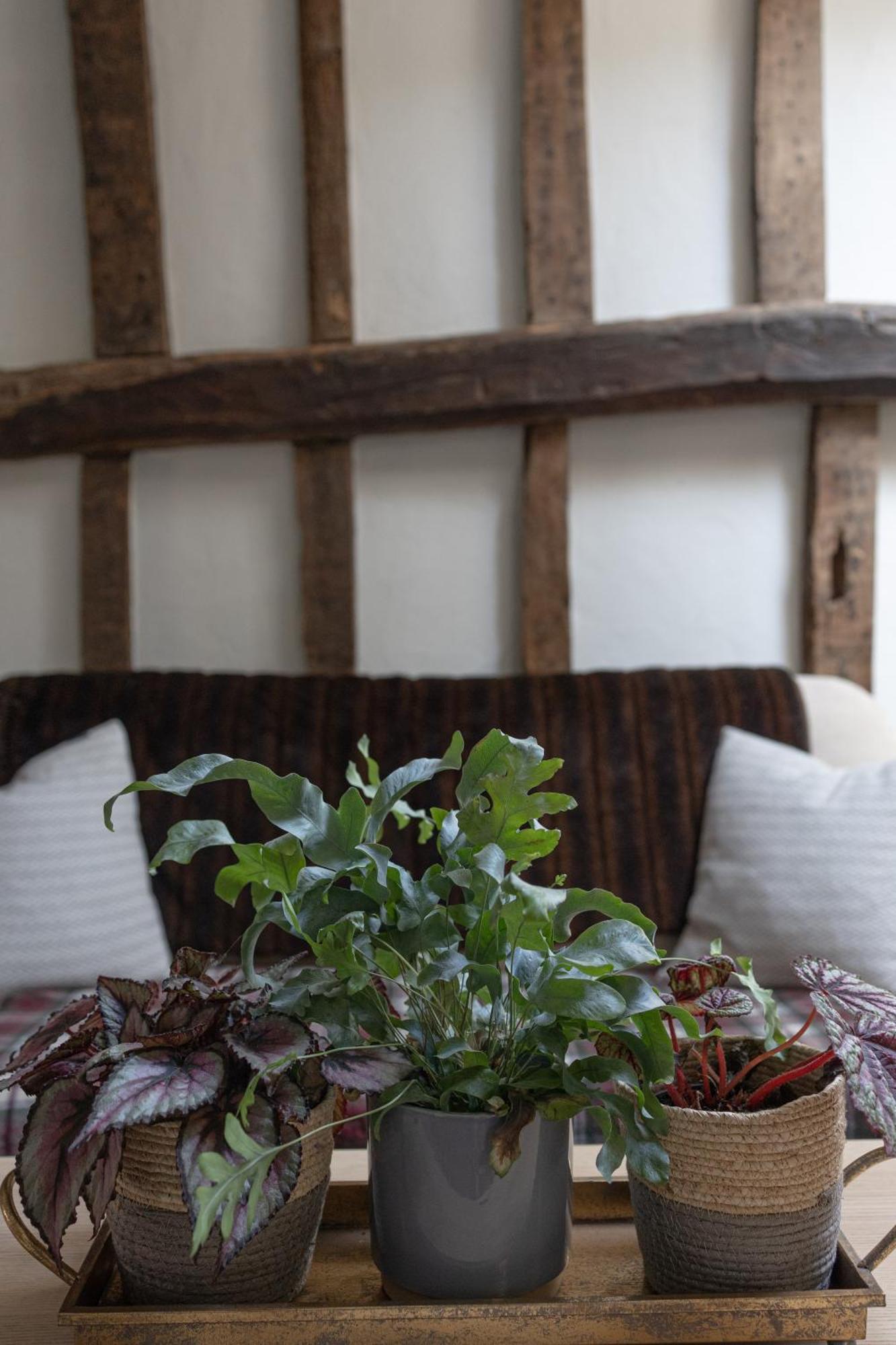 Saltmarsh Farmhouse Westdean Extérieur photo